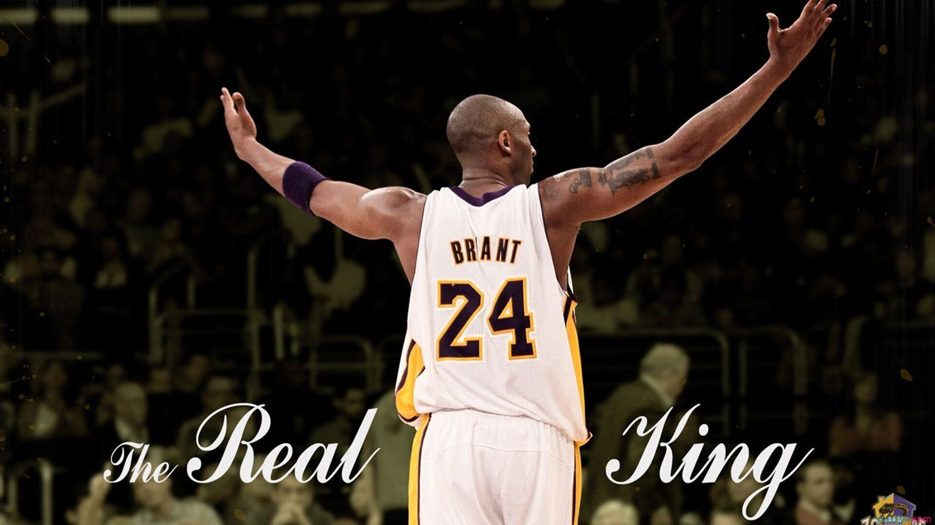 海鹰主场完胜，防守端压制力惊人，海鹰队 russell wilson